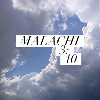 malachi310